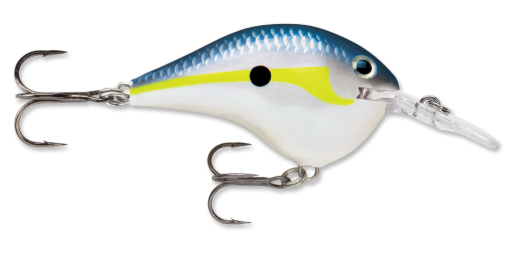 dt6 fishing lure Rapala DT 6 Crankbait – BMT Outdoors