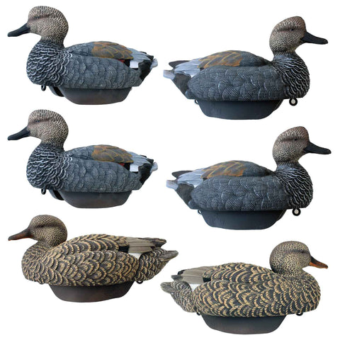 HEYDAY LTD523 GADWALL