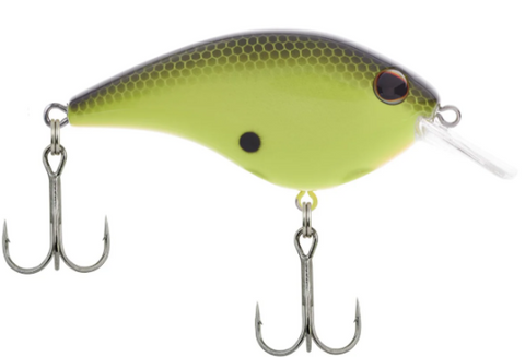 BERKLEY Fritside 5