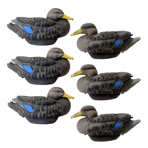 HEYDAY LTD520 BLACK DUCK