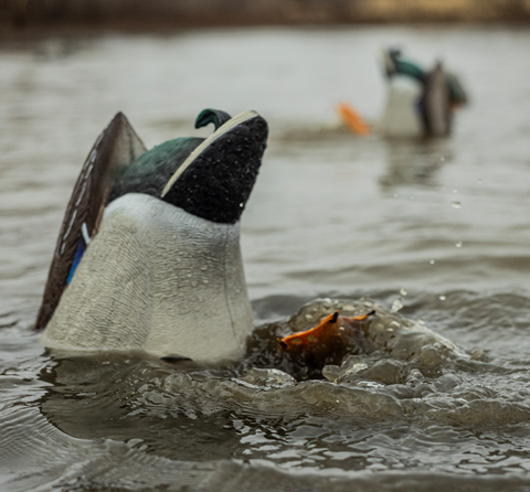AVIAN X Power Butt Kicker Mallard Hen