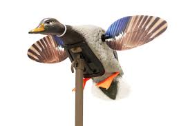 MOJO MINI MALLARD DRAKE