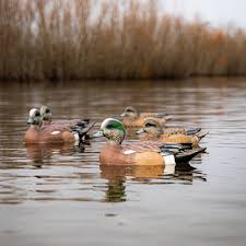 Divebomb F1 Wigeon 40306