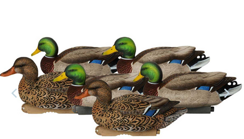 Avery GHG Pro-Grade XD Series Mallards, Active 6 Pack