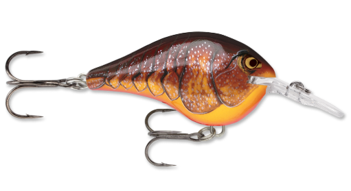 Rapala DT 6 Crankbait – BMT Outdoors