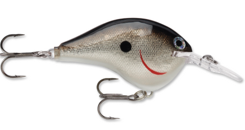 dt6 fishing lure Rapala DT 6 Crankbait – BMT Outdoors